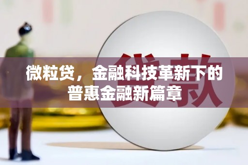 抚远微粒贷，金融科技革新下的普惠金融新篇章