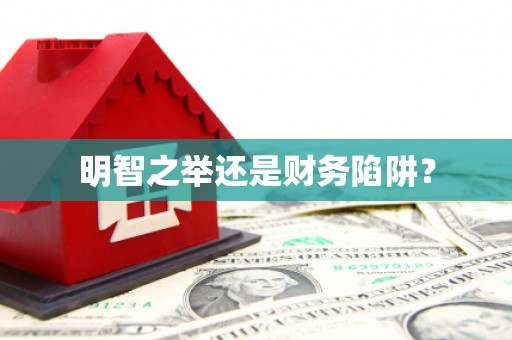 抚远明智之举还是财务陷阱？