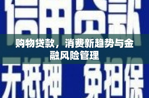 抚远购物贷款，消费新趋势与金融风险管理