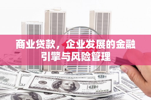 抚远商业贷款，企业发展的金融引擎与风险管理