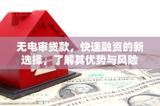 抚远无电审贷款，快速融资的新选择，了解其优势与风险