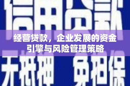抚远经营贷款，企业发展的资金引擎与风险管理策略