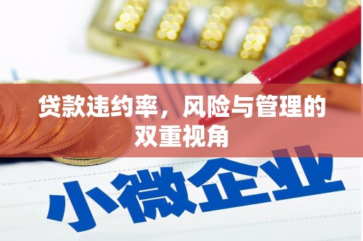 抚远贷款违约率，风险与管理的双重视角