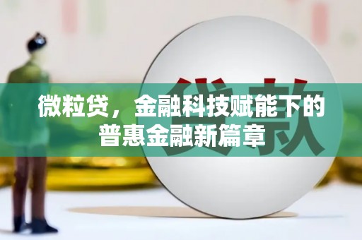 抚远微粒贷，金融科技赋能下的普惠金融新篇章