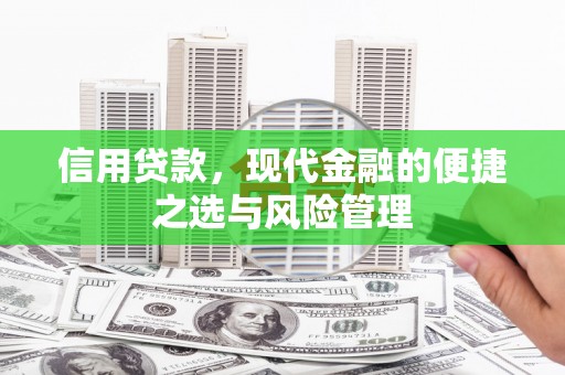 抚远信用贷款，现代金融的便捷之选与风险管理