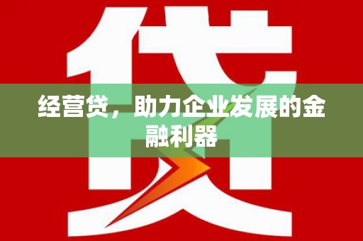 抚远经营贷，助力企业发展的金融利器