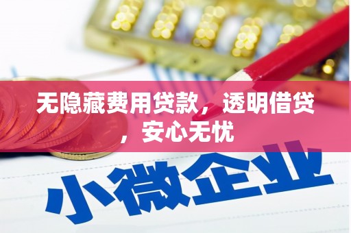 抚远无隐藏费用贷款，透明借贷，安心无忧