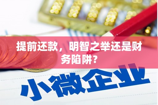 抚远提前还款，明智之举还是财务陷阱？