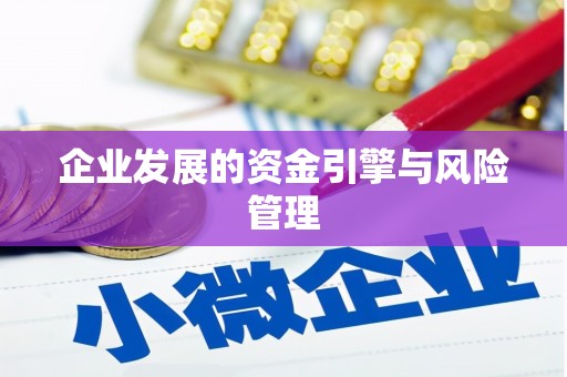 抚远企业发展的资金引擎与风险管理