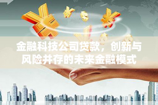 抚远金融科技公司贷款，创新与风险并存的未来金融模式