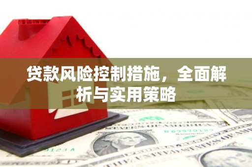 抚远贷款风险控制措施，全面解析与实用策略