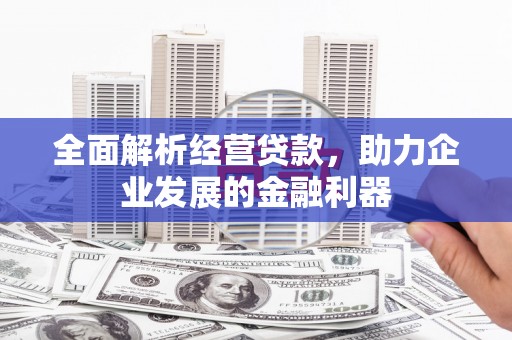 抚远全面解析经营贷款，助力企业发展的金融利器