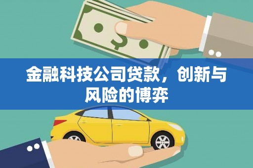 抚远金融科技公司贷款，创新与风险的博弈