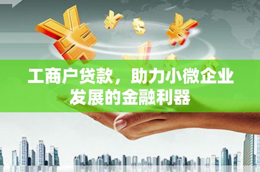 抚远工商户贷款，助力小微企业发展的金融利器