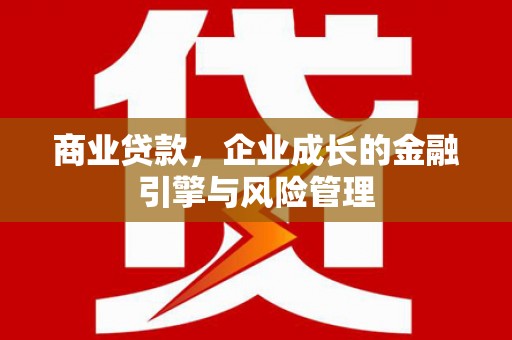 抚远商业贷款，企业成长的金融引擎与风险管理
