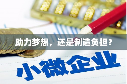 抚远助力梦想，还是制造负担？