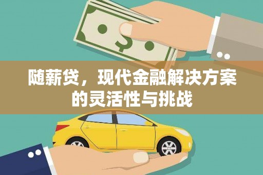 抚远随薪贷，现代金融解决方案的灵活性与挑战