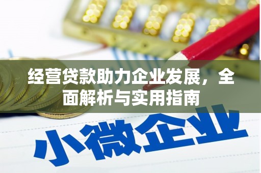抚远经营贷款助力企业发展，全面解析与实用指南