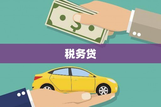 抚远税务贷