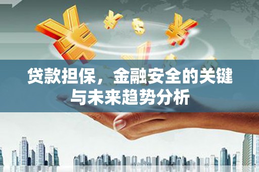 抚远贷款担保，金融安全的关键与未来趋势分析
