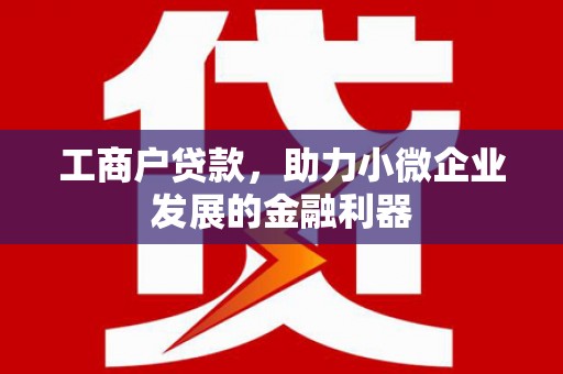 抚远工商户贷款，助力小微企业发展的金融利器