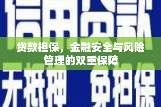 抚远贷款担保，金融安全与风险管理的双重保障