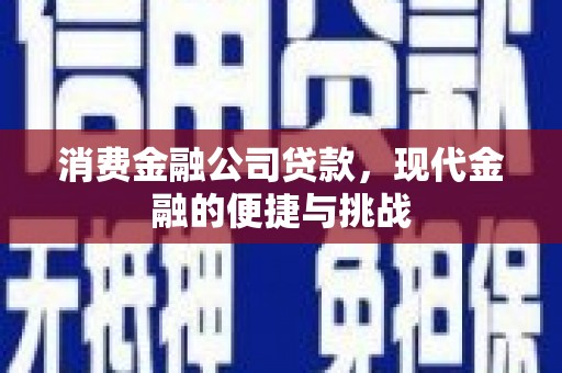 抚远消费金融公司贷款，现代金融的便捷与挑战