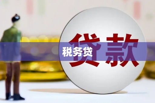 抚远税务贷