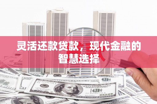 抚远灵活还款贷款，现代金融的智慧选择