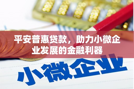 抚远平安普惠贷款，助力小微企业发展的金融利器
