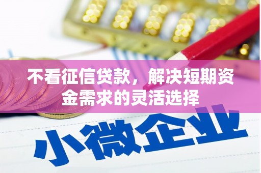 抚远不看征信贷款，解决短期资金需求的灵活选择