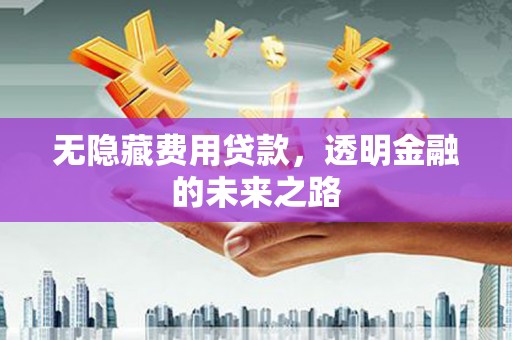 抚远无隐藏费用贷款，透明金融的未来之路