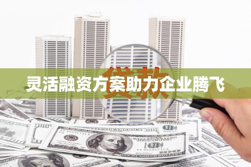 抚远灵活融资方案助力企业腾飞