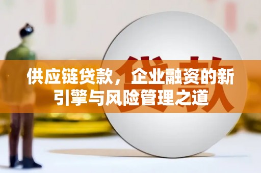 抚远供应链贷款，企业融资的新引擎与风险管理之道