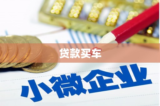 抚远贷款买车