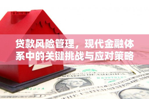 抚远贷款风险管理，现代金融体系中的关键挑战与应对策略