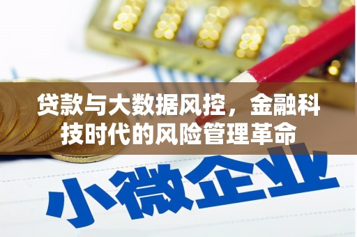 抚远贷款与大数据风控，金融科技时代的风险管理革命