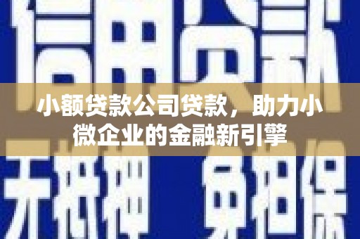 抚远小额贷款公司贷款，助力小微企业的金融新引擎