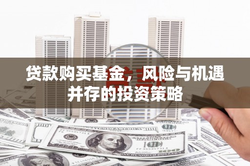 抚远贷款购买基金，风险与机遇并存的投资策略