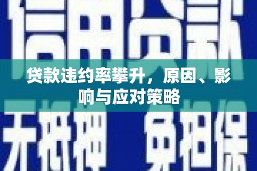 抚远贷款违约率攀升，原因、影响与应对策略