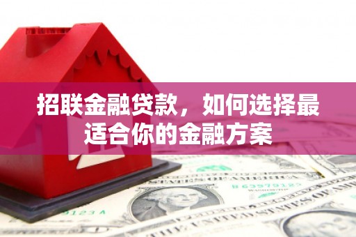 抚远招联金融贷款，如何选择最适合你的金融方案