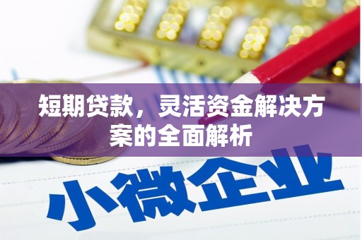 抚远短期贷款，灵活资金解决方案的全面解析