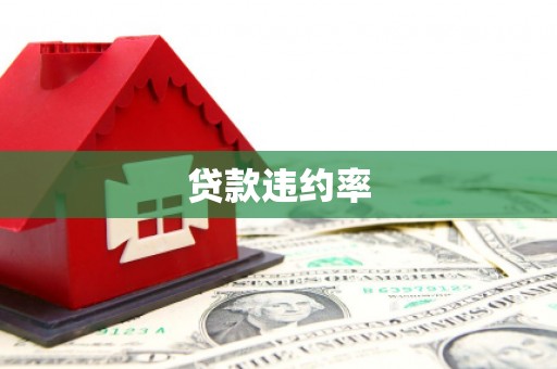抚远贷款违约率