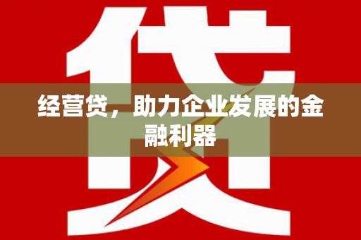 抚远经营贷，助力企业发展的金融利器