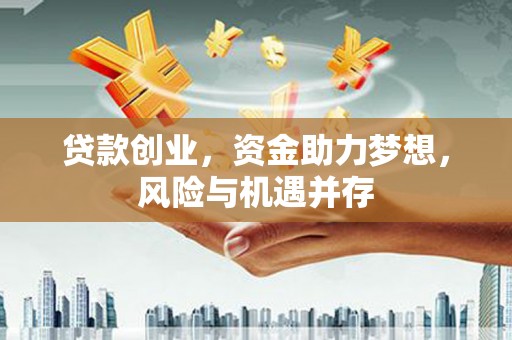 抚远贷款创业，资金助力梦想，风险与机遇并存