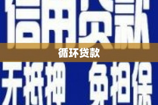 抚远循环贷款
