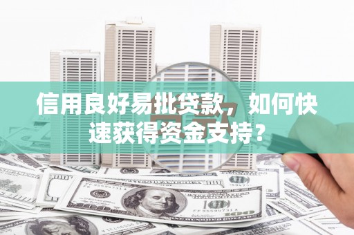 抚远信用良好易批贷款，如何快速获得资金支持？