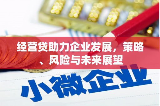 抚远经营贷助力企业发展，策略、风险与未来展望