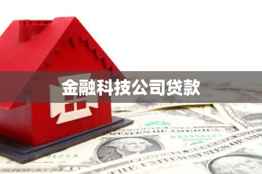 抚远金融科技公司贷款