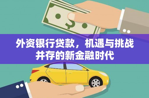 抚远外资银行贷款，机遇与挑战并存的新金融时代